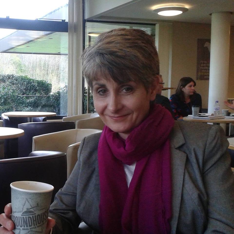 Sue Green - Paintings for Sale | Artfinder