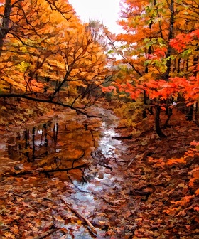 After the Rain by Carl Gethmann